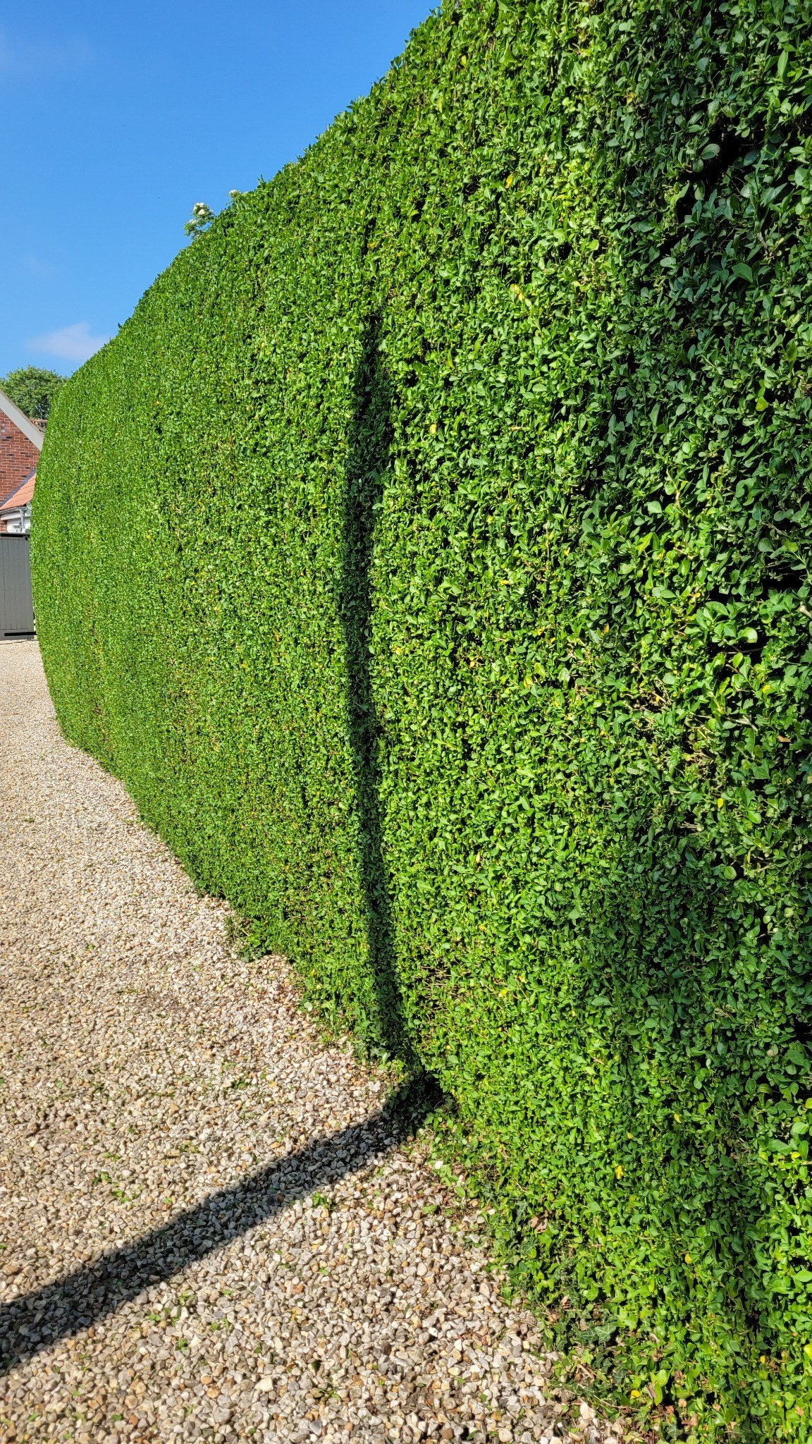Hedge Cutting example