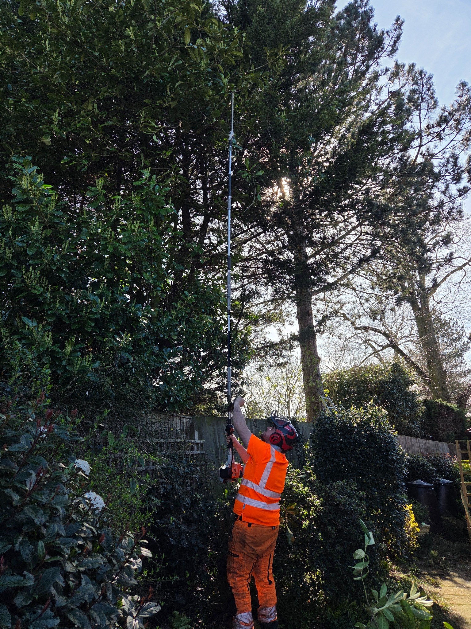 Tree Pruning example